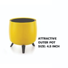 Decorative Plant Pot with Stand – 4.5 Inch (Random Color)